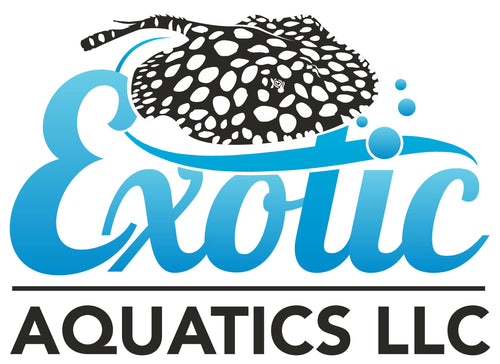 Exotic Aquatics